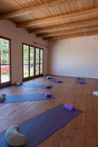 Yoga Shala